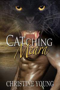 Catching Meara by Christine Young