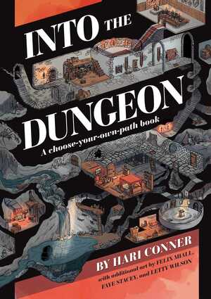 Into the Dungeon: A Choose-Your-Own-Path Book by Hari Conner