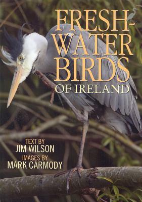 Freshwater Birds of Ireland by Jim Wilson