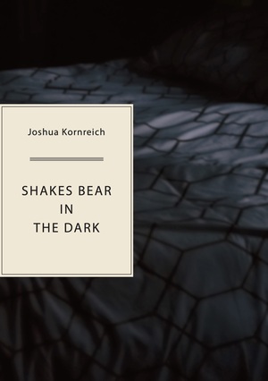 Shakes Bear in the Dark by Joshua Kornreich