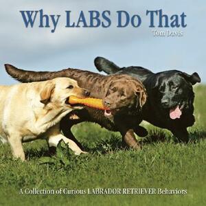 Why Labs Do That: A Collection of Curious Labrador Retriever Behaviors by Tom Davis