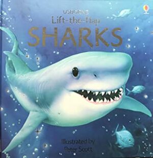 Sharks by Phillip Clarke, Reuben Barrance, Peter Scott, Keith Furnival