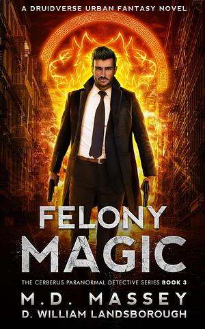 Felony Magic by D. William Landsborough, M.D. Massey, M.D. Massey