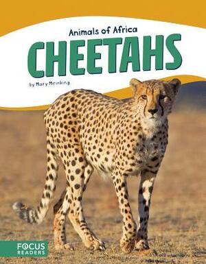 Cheetahs by Mary Meinking