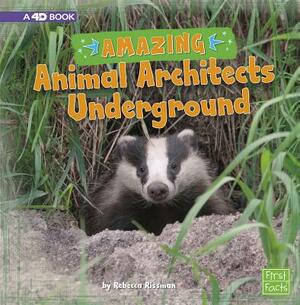 Amazing Animal Architects Underground: A 4D Book by Rebecca Rissman