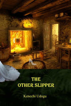 The Other Slipper by Kenechi Udogu