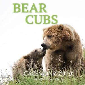 Bear Cubs Calendar 2019: 16 Month Calendar by Mason Landon