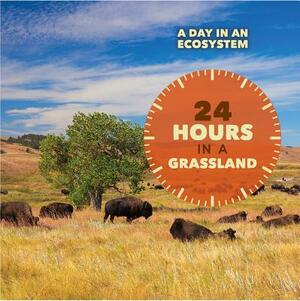 24 Hours in a Grassland by Ruth Bjorklund