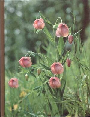 Wildflower Gardening (The Time-Life Encyclopedia of Gardening) by Oliver E. Allen, James Underwood Crockett