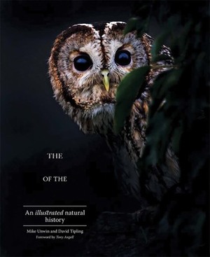 The Enigma of the Owl: An Illustrated Natural History by David Tipling, Tony Angell, Mike Unwin