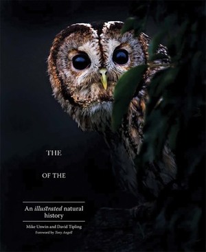 The Enigma of the Owl: An Illustrated Natural History by Mike Unwin, Tony Angell, David Tipling