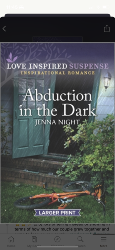 Abduction in the Dark by Jenna Night