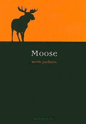 Moose by Kevin Jackson