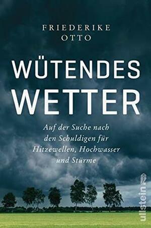 Wütendes Wetter: Auf der Suche nach den Schuldigen für Hitzewellen, Hochwasser und Stürme by Friederike Otto