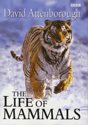 The Life of Mammals by David Attenborough