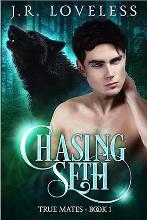 Chasing Seth by J.R. Loveless