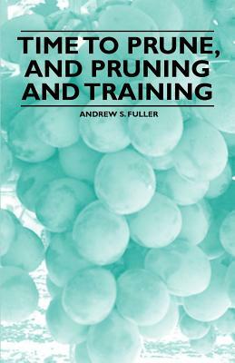 Time to Prune, and Pruning and Training by Andrew S. Fuller
