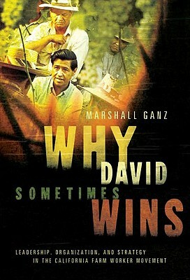 Why David Sometimes Wins: Leadership, Organization, and Strategy in the California Farm Worker Movement by Marshall Ganz