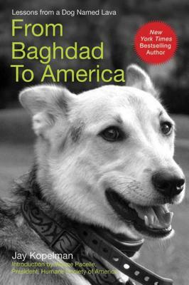 From Baghdad to America: Life After War for a Marine and His Rescued Dog by Jay Kopelman