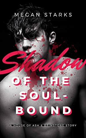 Shadow of the Soul-bound by Megan Starks