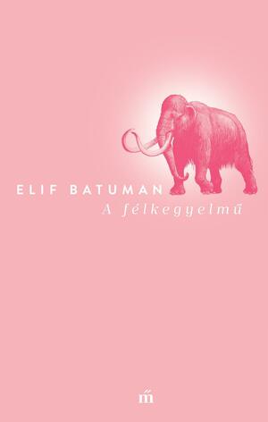 A félkegyelmű by Elif Batuman