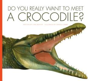 Do You Really Want to Meet a Crocodile? by Cari Meister