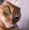 carbonarapietro's profile picture