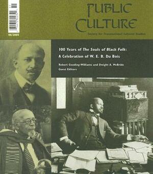 One Hundred Years of the Souls of Black Folk: A Celebration of W. E. B. Du Bois by Dwight A. McBride, Robert Gooding-Williams