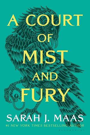 A Court of Mist and Fury, Part 1 by Sarah J. Maas