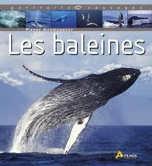 Les Baleines by Pierre Darmangeat