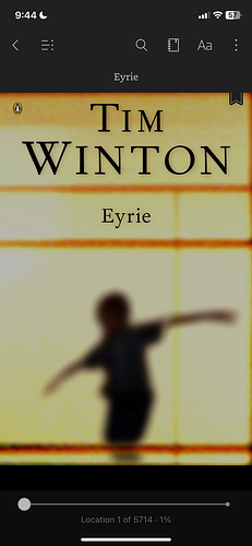 Eyrie by Tim Winton