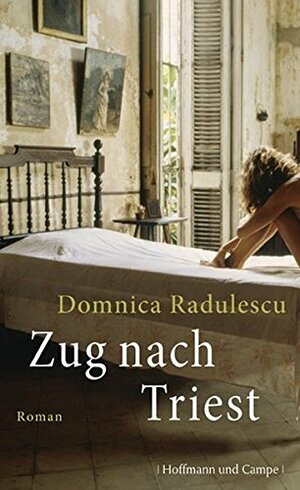 Zug nach Triest by Domnica Radulescu