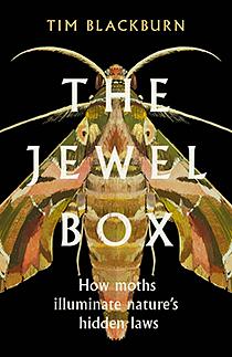 The Jewel Box: How Moths Illuminate Nature's Hidden Rules by Tim Blackburn