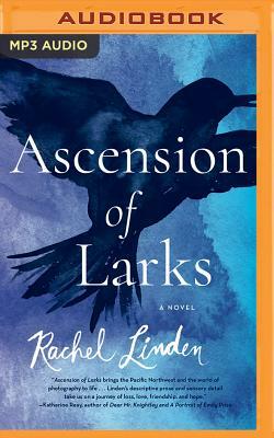 Ascension of Larks by Rachel Linden