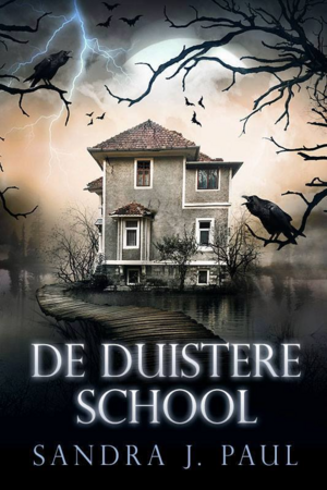 De Duistere School by Sandra J. Paul