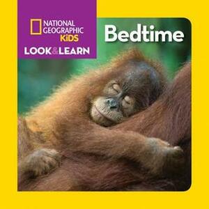 Look & Learn: Bedtime by Ruth A. Musgrave