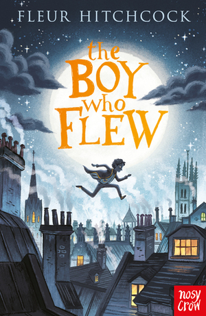 The Boy Who Flew by Fleur Hitchcock