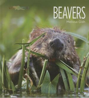 Beavers by Melissa Gish