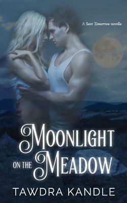 Moonlight on the Meadow by Tawdra Kandle