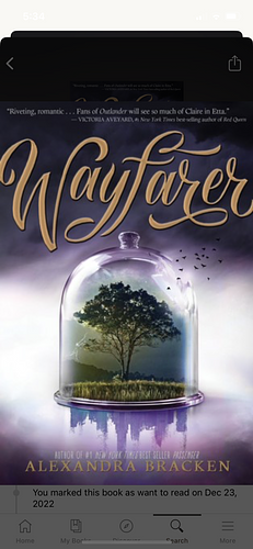 Wayfarer by Alexandra Bracken