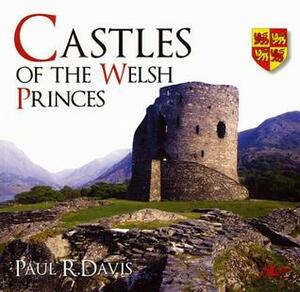 Castles of the Welsh Princes by Paul R. Davis