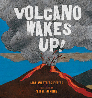 Volcano Wakes Up! by Lisa Westberg Peters, Stephen W. Jenkins