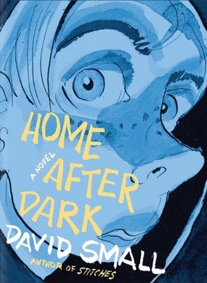 Home After Dark by David Small