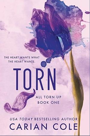 Torn (All Torn Up Book 1) by Carian Cole