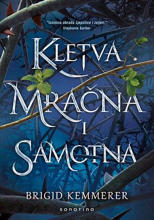 Kletva mračna i samotna by Brigid Kemmerer