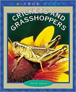 Crickets and Grasshoppers by Ann O. Squire