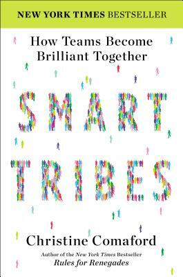 Smart Tribes: How Teams Become Brilliant Together by Christine Comaford