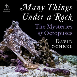 Many Things Under a Rock by David Scheel