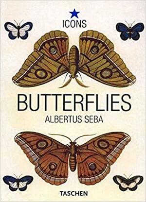 Butterflies & Insects by Rainer Willmann, Jes Rust, Albertus Seba