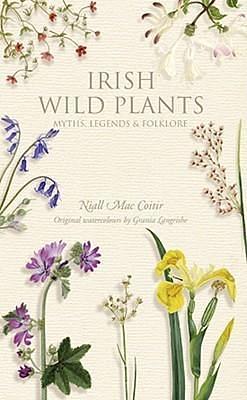 Irish Wild Plants: Myths Legends & Folklore by Niall Mac Coitir, Niall Mac Coitir